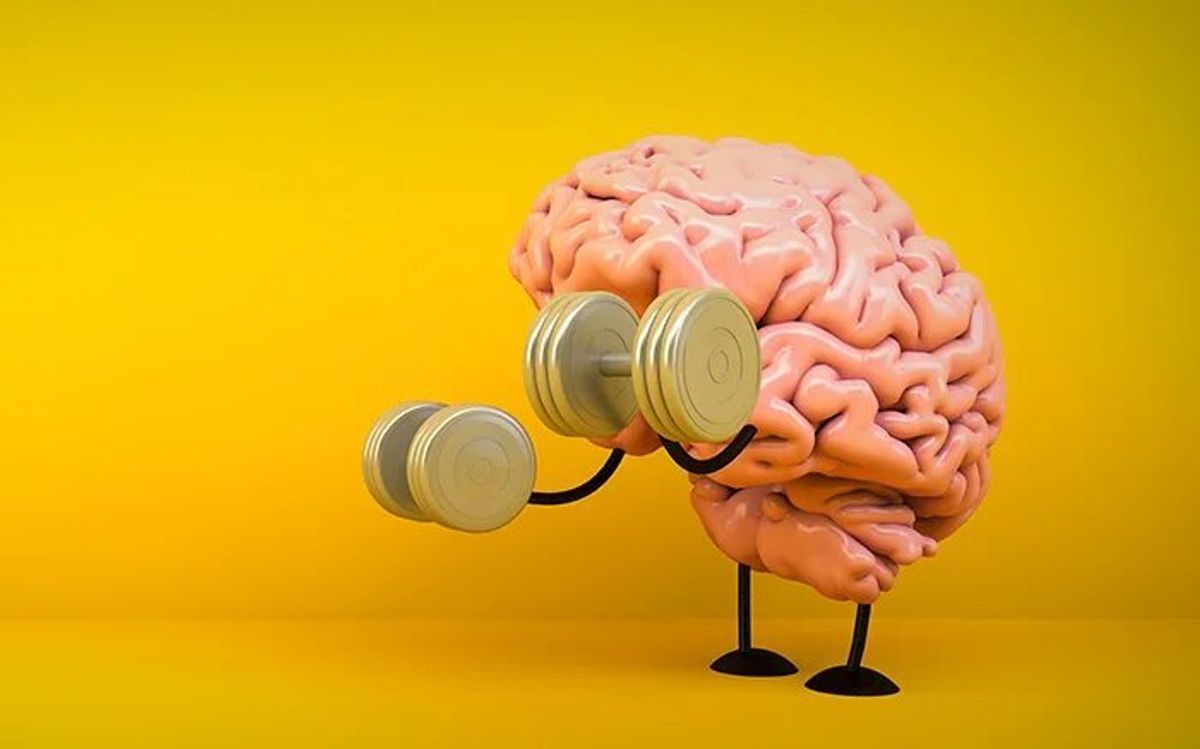 ۳ تمرین طلایی برای تقویت مغز؛ راهکارهایی ساده برای افزایش حافظه و تمرکز