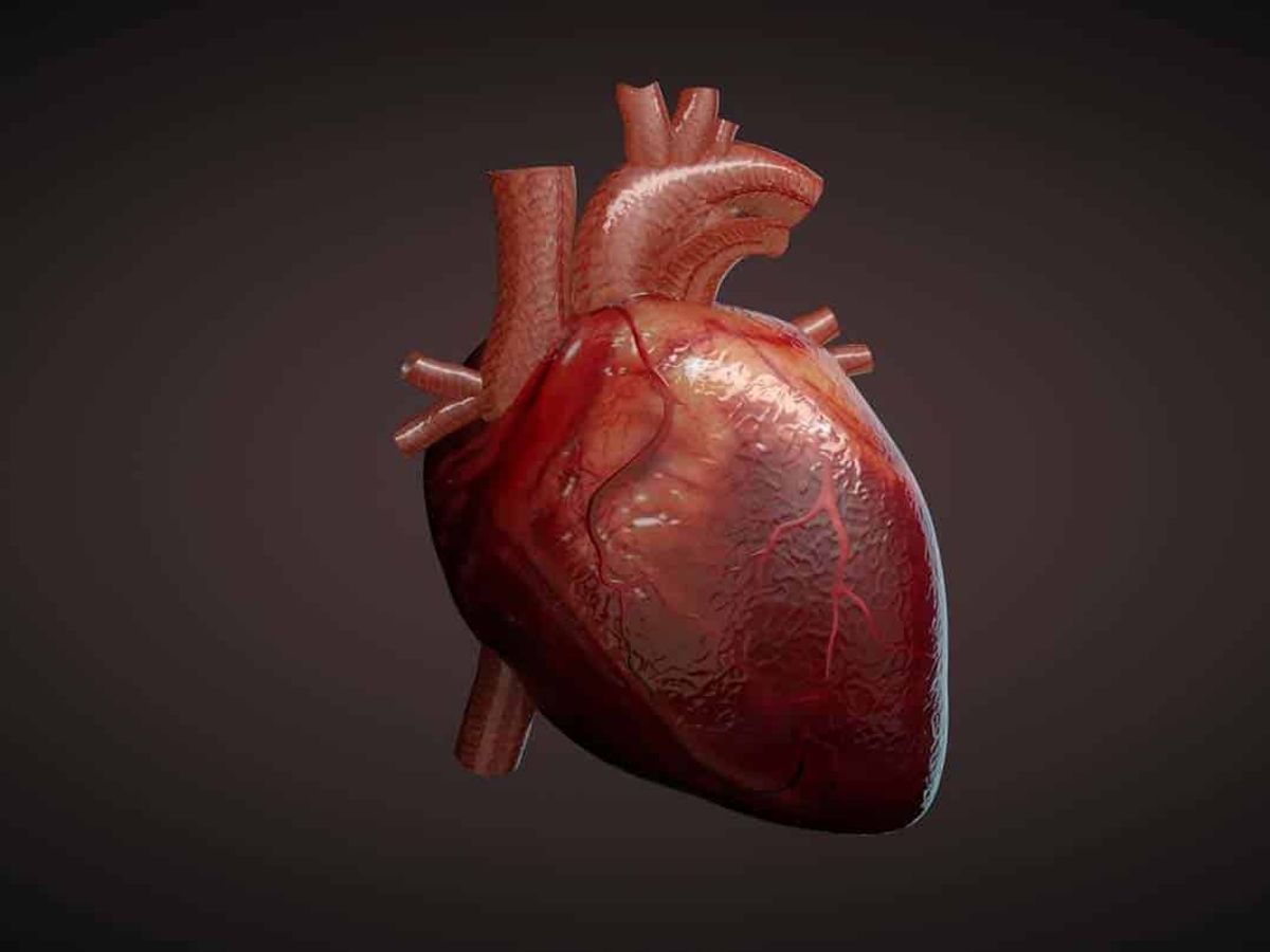 آیا هر نوع آریتمی قلبی خطرناک است؟