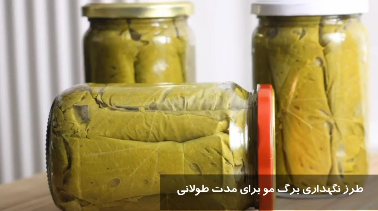 ترفند آشپزی امروز | روش نگهداری برگ مو برای مدت طولانی در یخچال و فریزر