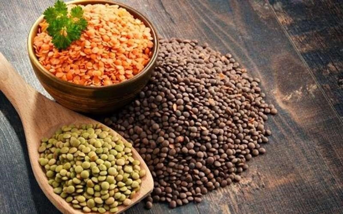 ۷ ماده غذایی که ریزش مو را متوقف میکنند